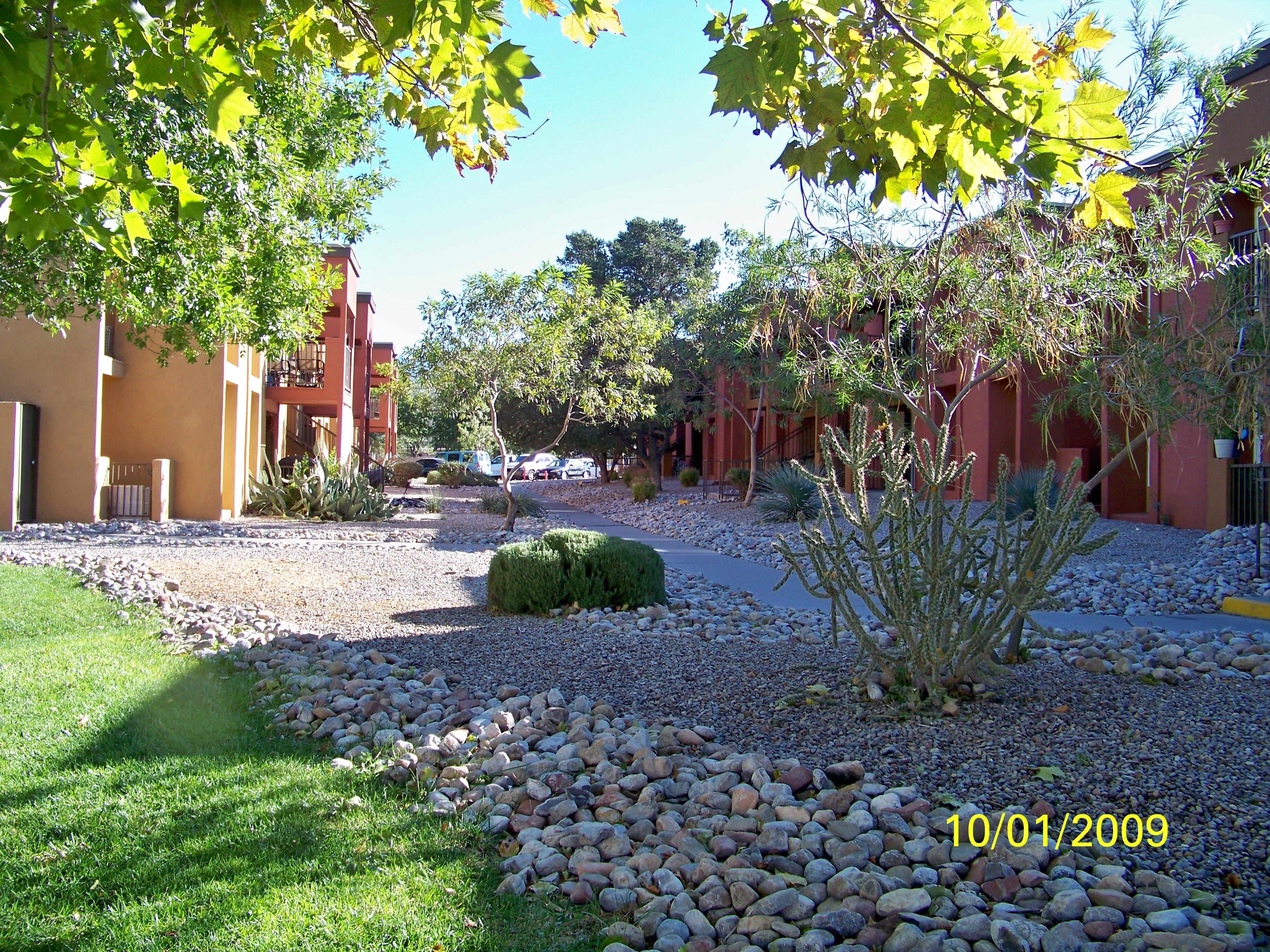Desert Gardens project 2
