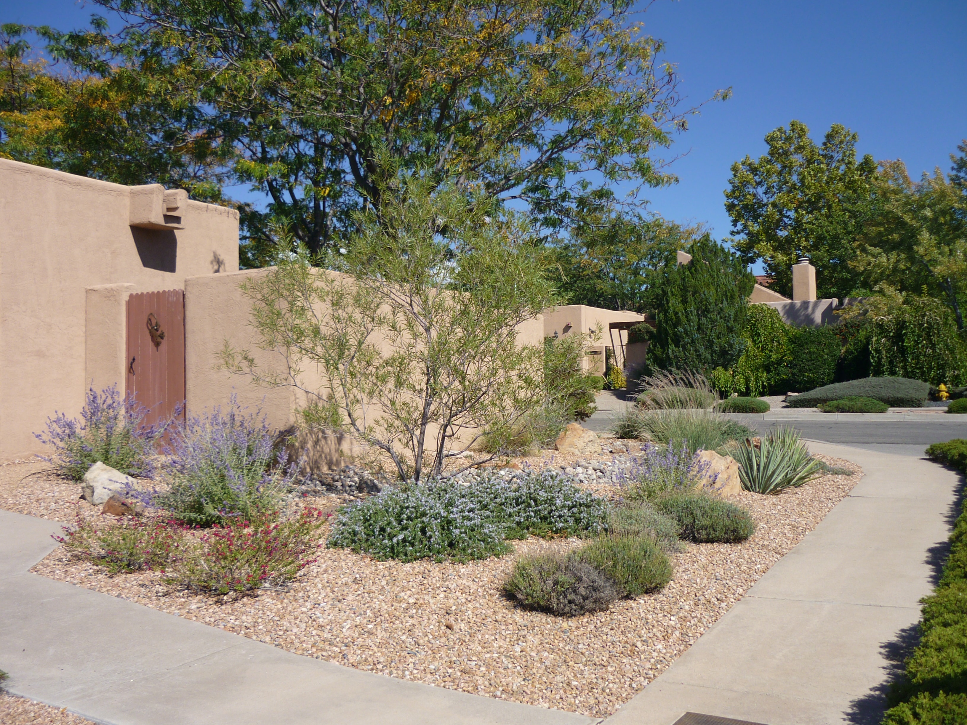 Desert Gardens project 4