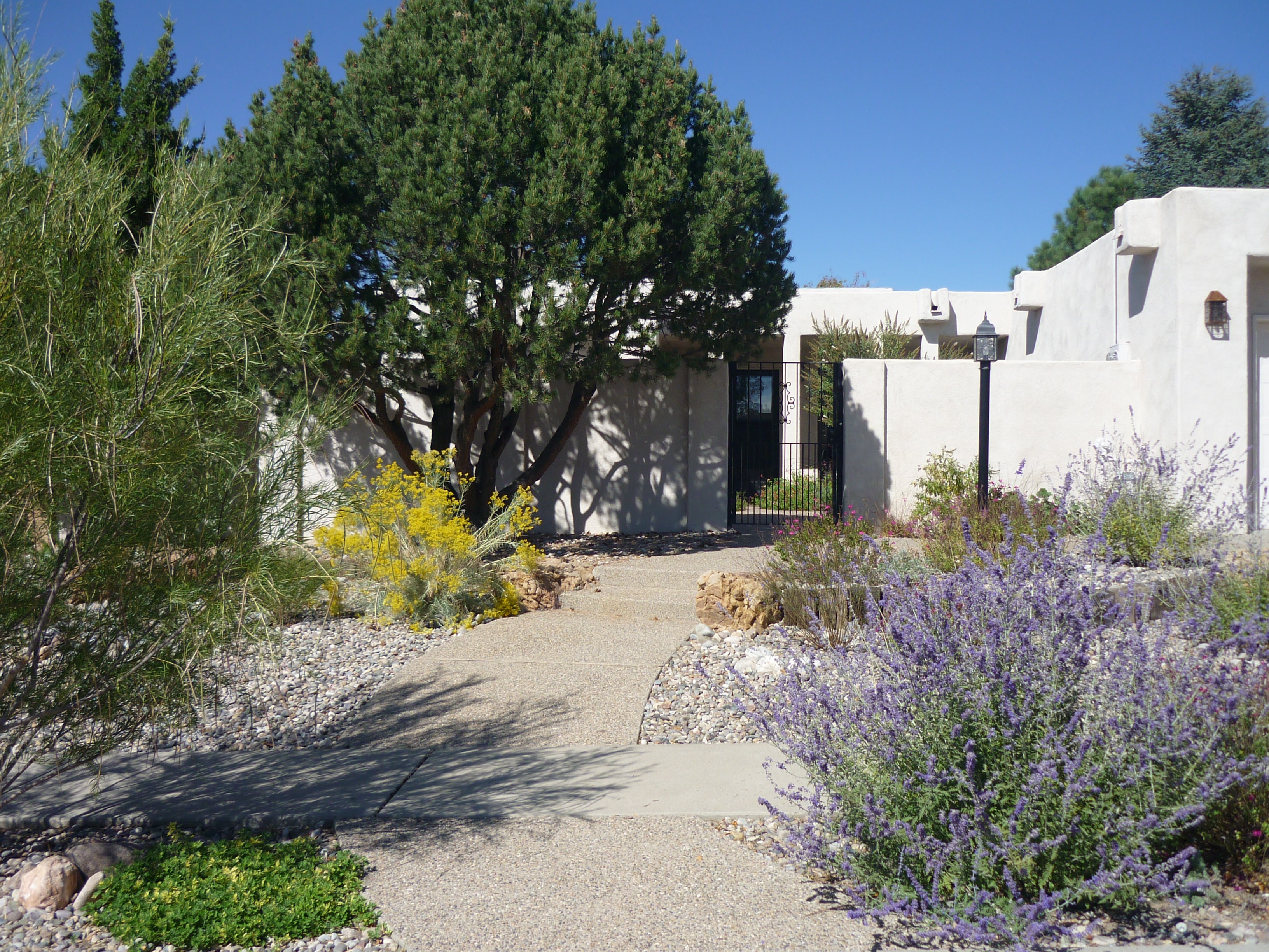 Desert Gardens project 5